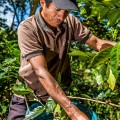 Guatemala