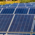 Renewable energy.jpg