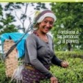 portada-informe-desempeno-social-ambiental-oikocredit-2016.jpg