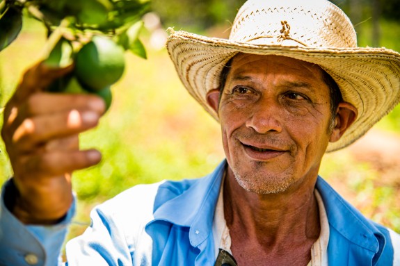 Ismael Gonzales Castres (57) inspecciona les seves llimones, les quals conrea juntament amb herba de llimona, revetlla de llimona, iuca i cacauets en 10 hectàrees de la seva pròpia terra. Ismael Gonzales Castres (57) inspecciona les seves llimones, les quals conrea juntament amb herba de llimona, revetlla de llimona, iuca i cacauets en 10 hectàrees de la seva pròpia terra.