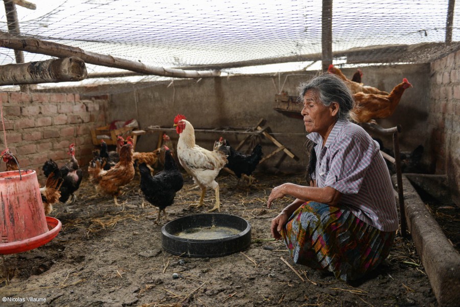 Dimas Morales tiene muchos objetivos: tener una granja más grande es solo uno de ellos.