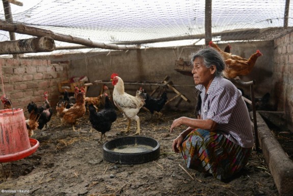 La Dimas Morales té molts objectius: tenir una granja més gran és només un d’ells. La Dimas Morales té molts objectius: tenir una granja més gran és només un d’ells.