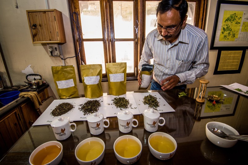 Algunos de los deliciosos tés de alta calidad de DOTEPL en Darjeeling Algunos de los deliciosos tés de alta calidad de DOTEPL en Darjeeling