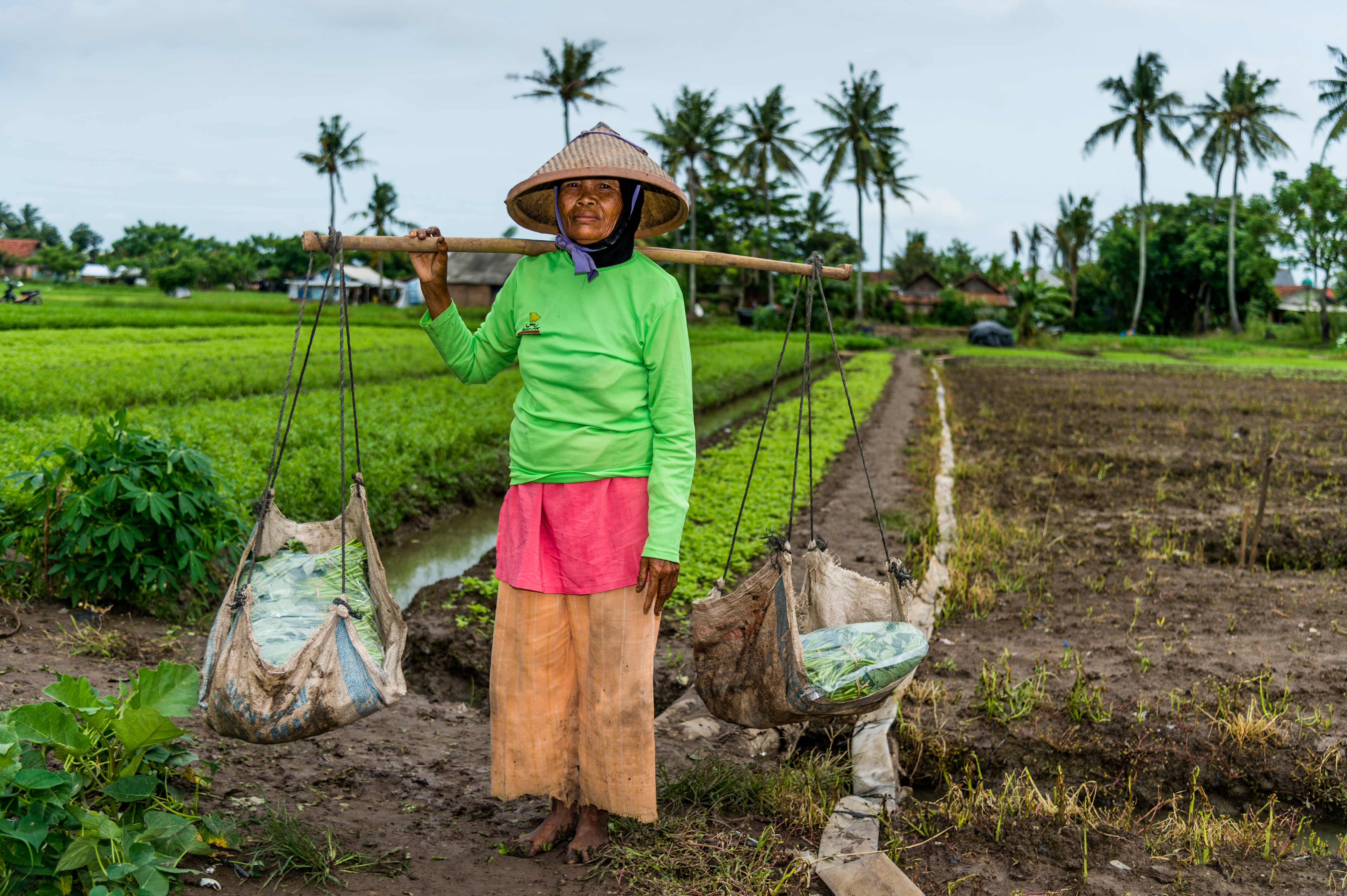 Ami bin Sarim portant llegums collites.