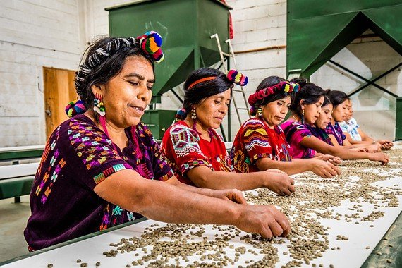transparencia y el respeto, equidad en el comercio, relación comercial, naciones unidas, busca una mayor equidad, productos de comercio justo, comercio internacional, movimiento del comercio justo, venta de productos, organización mundial del comercio