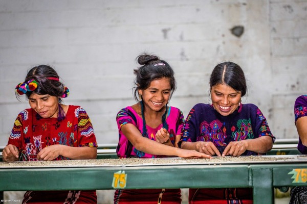 Clientas de la organización agrícola Chajul, socia de Oikocredit en Guatemala. Clientas de la organización agrícola Chajul, socia de Oikocredit en Guatemala.