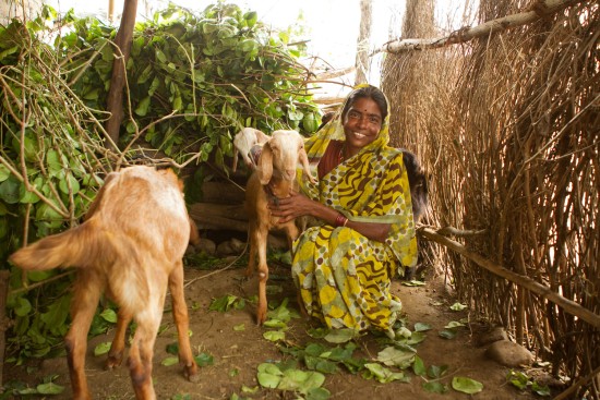 Ms Kishnabai Meshram es clienta de ESAF. Ms Kishnabai Meshram es clienta de ESAF.