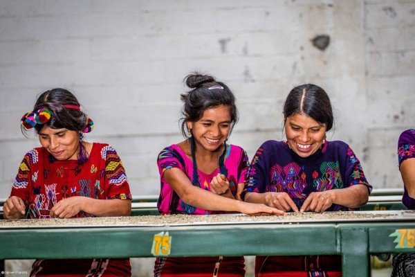 Clientas de la organización agrícola Chajul, socia de Oikocredit en Guatemala.