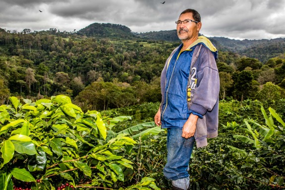 Nicolás Antonio Flores contemplant la seva plantació de cafè. Nicolás Antonio Flores contemplant la seva plantació de cafè.
