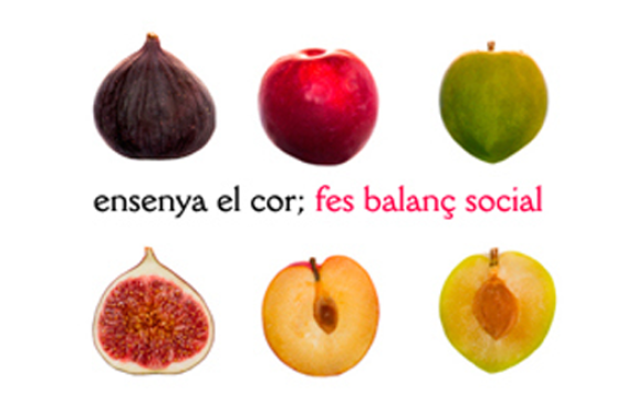 Enseña el corazón_Balance Social 2017