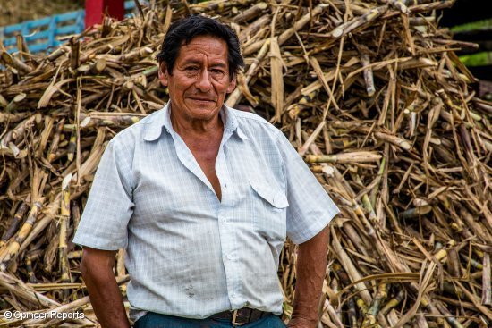 Pedro Bastidas, azukre fabrika baten jabea eta Contactar EM erakundeko bezeroa. Pedro Bastidas, azukre fabrika baten jabea eta Contactar EM erakundeko bezeroa.