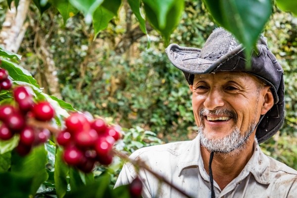 Cafeter i client de Cenfrocafe Juan Montenegro.