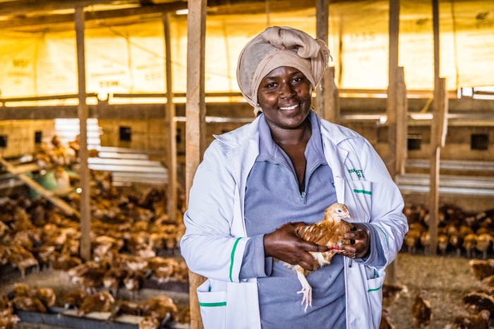 Grangera de Kenya, beneficiària d'un préstec d'Unaitas, organització sòcia d'Oikocredit. UNAI-KE-37