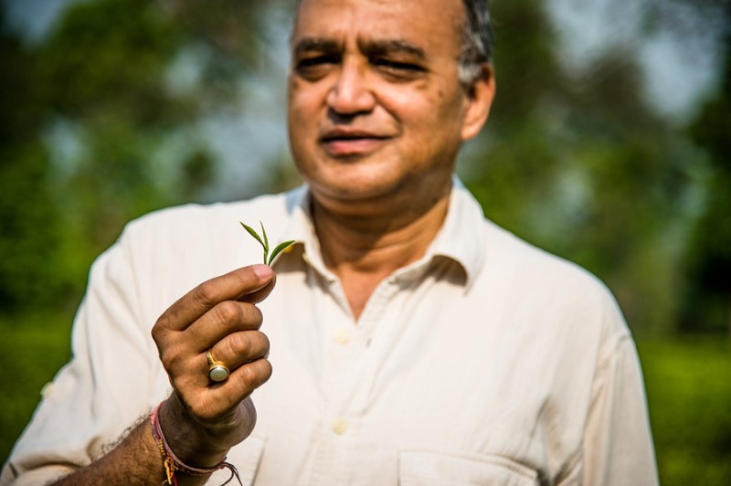 Sanjay Bansal, presidente y director ejecutivo de DOTEPL Sanjay Bansal, presidente y director ejecutivo de DOTEPL