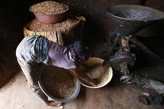 Una dona que fa pasta de maní per a la clienta de Renaca Hononta Boseeé d'Adjokan Caveca, Tindji. Una dona que fa pasta de maní per a la clienta de Renaca Hononta Boseeé d'Adjokan Caveca, Tindji.