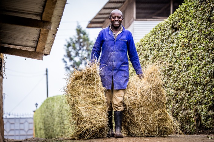 Unaitas, serveis financers per l'agricultura a Kenya. UNAI-KE-47.