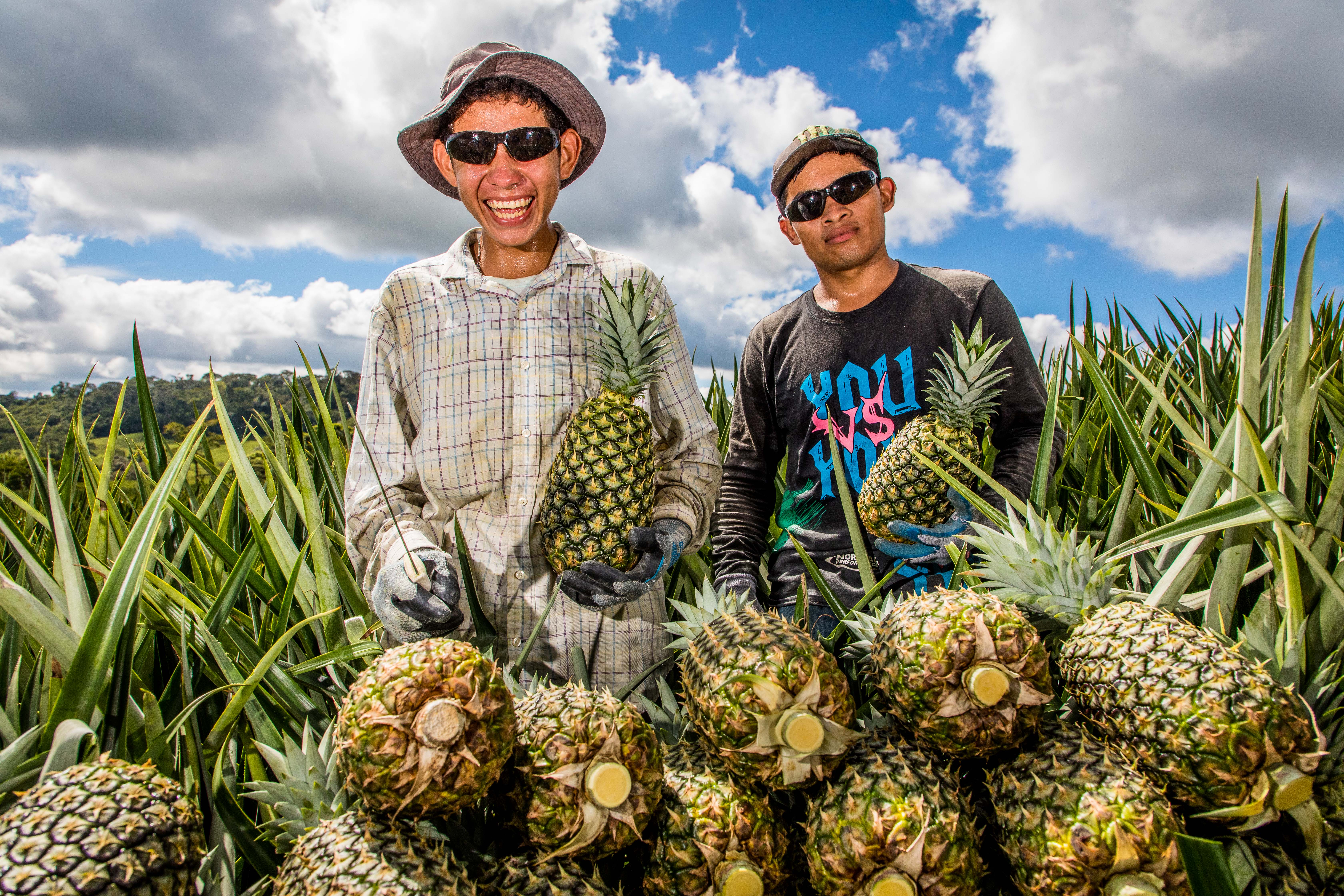 Carlos Hareyano i Jackson Méndez mostren pinyes recentment collides.